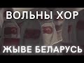 Вольны хор — Жыве Беларусь (анлайн-канцэрт «Муры», 27.05.2021)