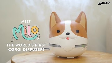 The cutest diffuser in the world.