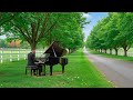 50 Relaxing Classical Music Masterpieces for the Soul | Beethoven, Mozart, Chopin, Bach, Vivaldi
