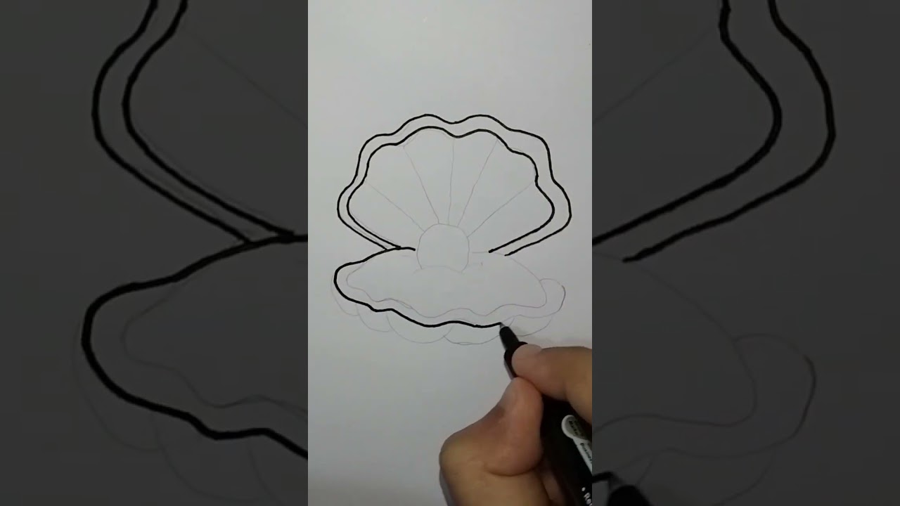 Drawing Oyster with Pearl 🦪 