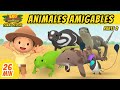 Animales Amigables Episodio Compilación [Parte 2/2] (Español) - Leo, El Explorador | Animación