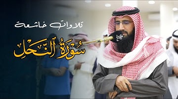 عشائية خاشعة تلاوة مميزة تفوق بصوت الشيخ حمزة معاذ | عشاء 10-8-1446 هـ