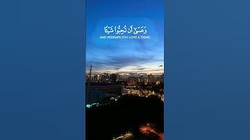 (و عسى ان تكرهوا شيئًا و هو خير لكم) آيات من سورة البقرة / القارئ مشاري راشد العفاسي