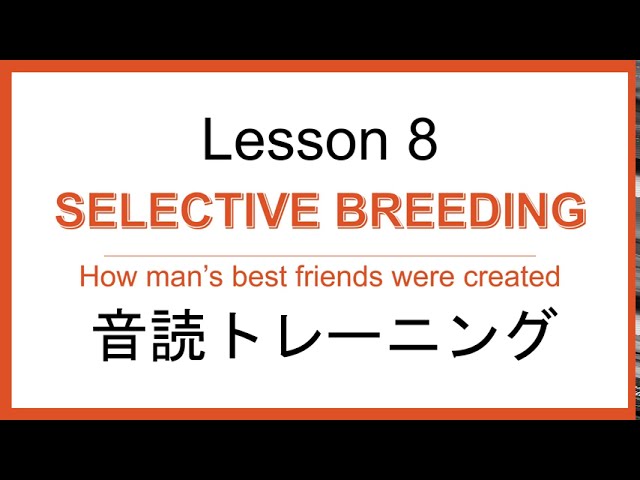 Lesson ８ 音読トレーニング Youtube