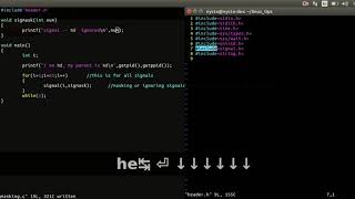 Handle[Mask] all the interrupt SIGNALS in linux