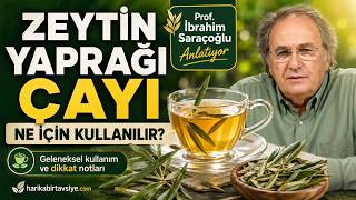 Zeytin Yaprağı Çayı Hakkında Bilmeniz Gerekenler #zeytinyaprağıçayı #ibrahimsaraçoğlu