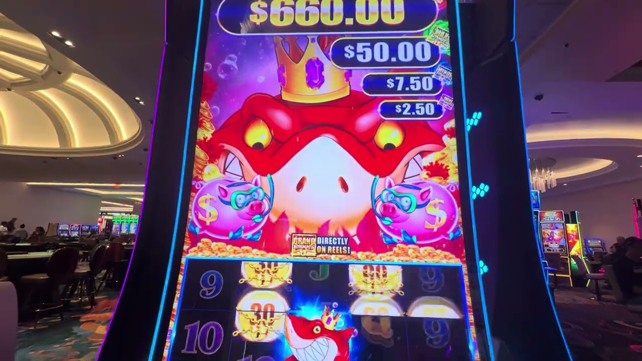 Had a Great Run on Sharks Lock!! On a .66 Cent Bet🤑😂😂😂🤑