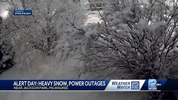 Time lapse video of heavy snow on tree branches