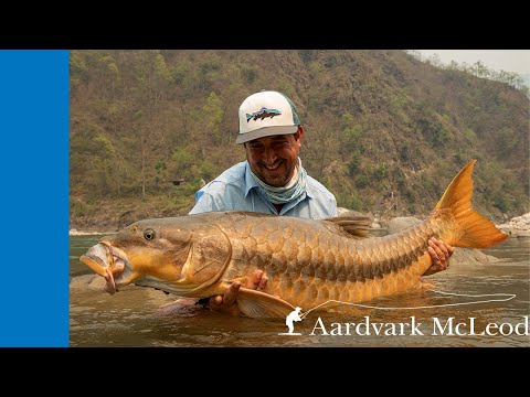 Fly Fishing the Himalayan Foothills in India