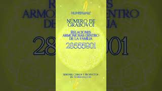 Numerología Del 14 De Junio De 2025 Ía Úmeros