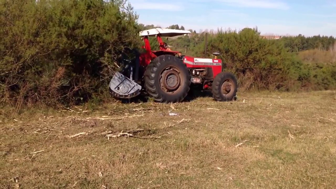 Triturador FAE UMM/S 200