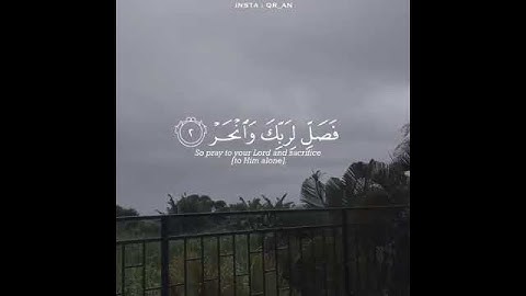 القرآن الكريم | بصوت جميل سورة الكوثر 🕊️❤️