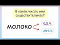 В каком числе имя существительное? Попробуй угадать!