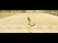 Sun. Sand. Beach handball. #04 Goals for 2 points (spectacular shots) / Rzuty za 2 punkty