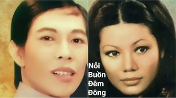 Nỗi Buồn Đêm Đông _ Minh Cảnh _ Phượng Liên