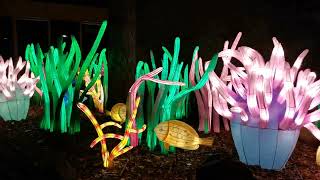 China lightfestival ouwehands dierenpark aqualuna