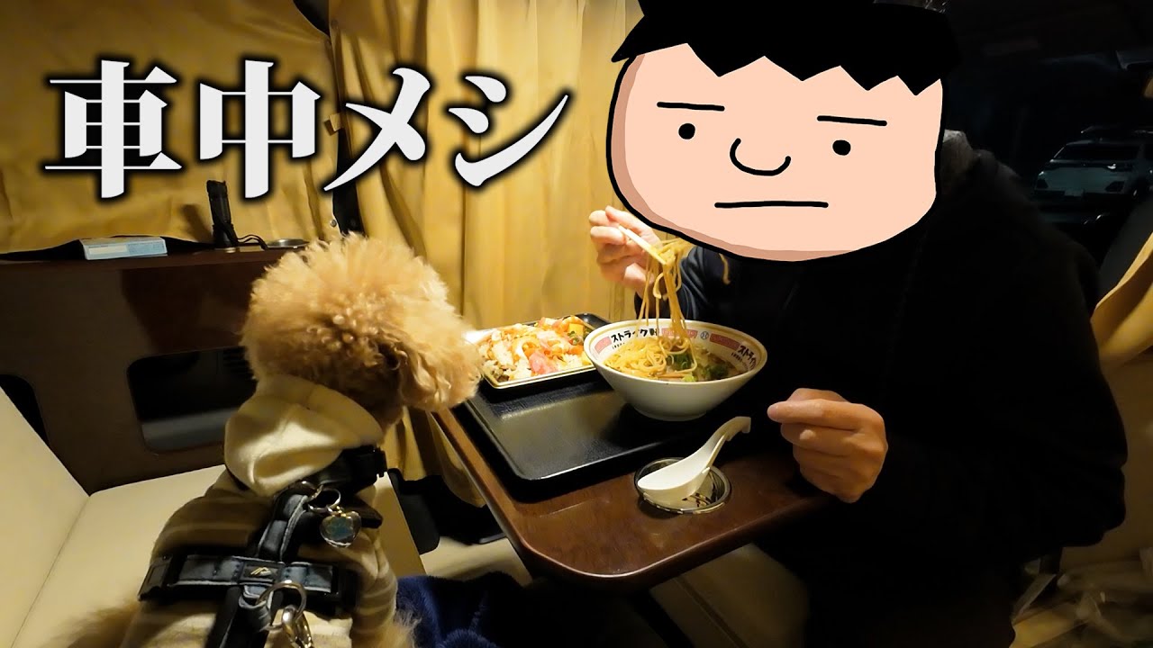 【トイプードルのテト】キャンピングカーって楽しいなぁ〜愛犬とお出かけ車中メシ万歳‼︎