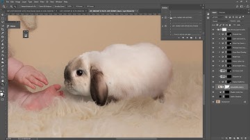 LSP Bunny Hop Overlays - studio image demo