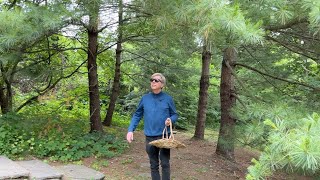 Hello, Summer! Baking, Cleaning My Chandeliers, & Walking in the Garden