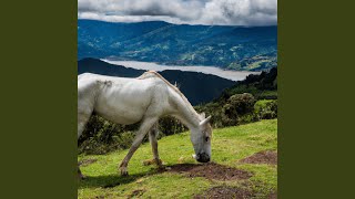 El Caballo Loco