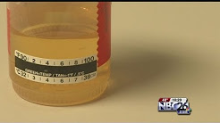 Cheating The System: Faking a Drug Test