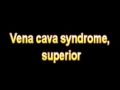 What Is The Definition Of Vena cava syndrome, superior