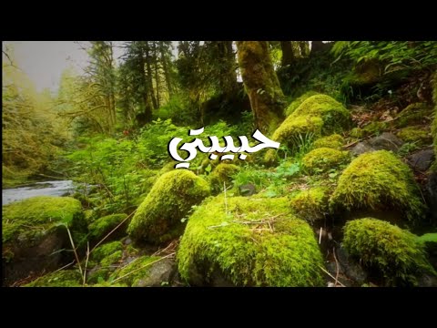 حبيبتي الياس الرحباني Video Full HD 1080p