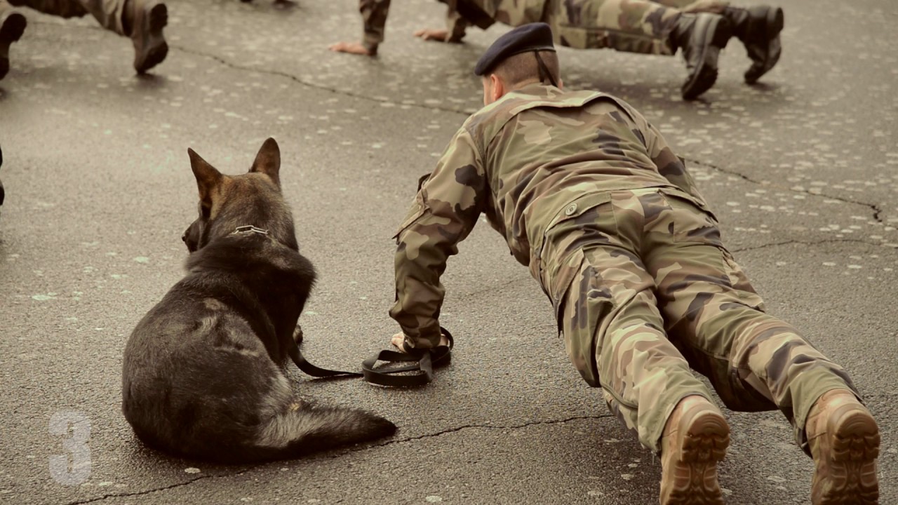 Challenge22 pompes : BA 942 Lyon - Mont Verdun camera iphone 8 plus apk