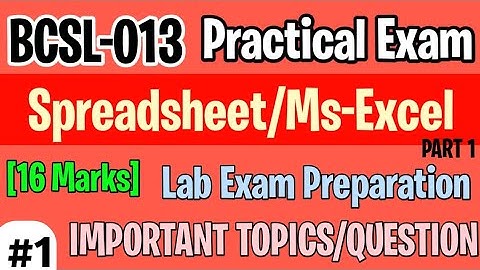 BCSL-013 Spreadsheet/Ms-Excel | Bcsl13 practical exam preparation | bcsl13 lab important questions