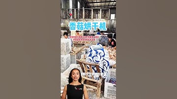 #fcnfm #Italy The Comprehensive Guide to Our Multi-Layer Drying Solutions