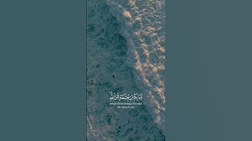 عبدالرحمن مسعد | سورة النحل | قرآن #قرآن_كريم #quran #قرآن