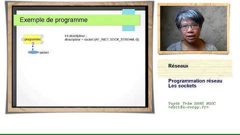 Programmation réseaux : sockets
