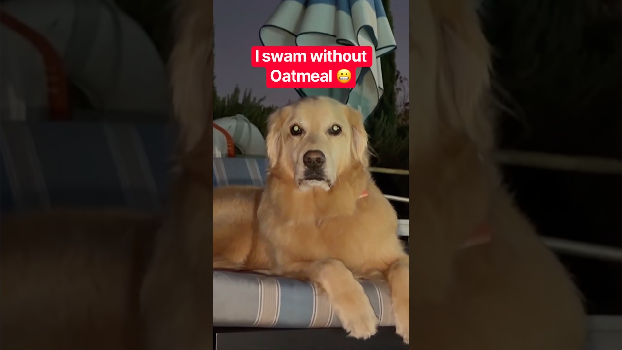 he’s never felt more betrayed…#betrayal