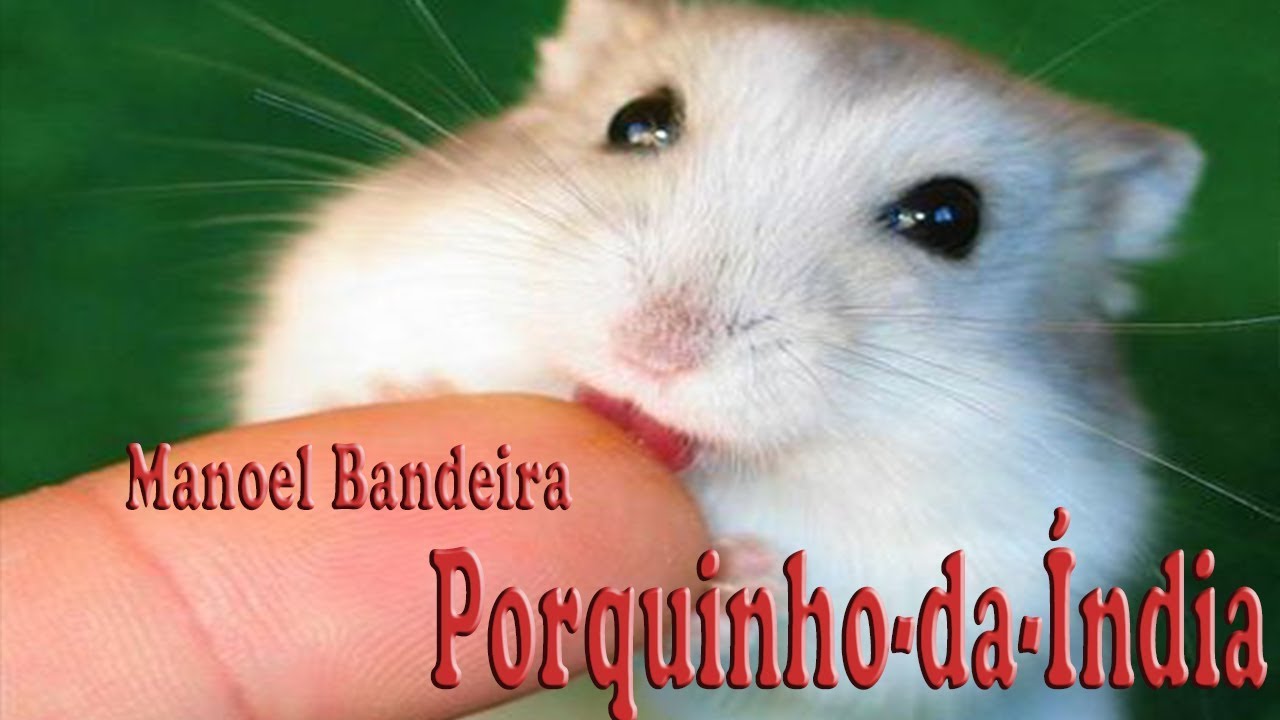 Manuel Bandeira Porquinho Da India - FDPLEARN