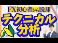 【FX初心者から脱却】『テクニカル分析』を徹底解説！