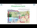 The Movement of Matter in Biogeochemical Cycles
