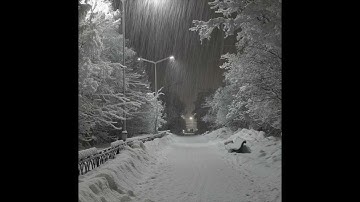 whirr - everyday is the same (slowed + reverb)