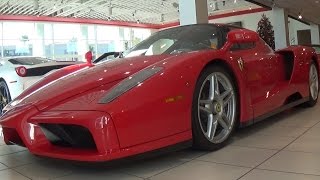 The legendary ferrari enzo - of newport beach