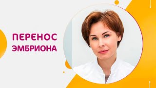 Криоперенос: этапы, подготовка, рекомендации