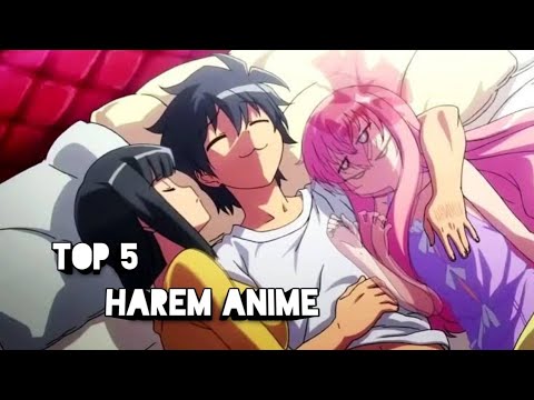 Harem Anime  Anime-Planet
