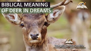 Biblical Meaning of DEER in Dream - Evangelist Joshua Orekhie
