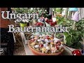 Wunderschöner Bauernmarkt in Ungarn Káptalantóti 2019  - Auswandern mit Ela Kanal