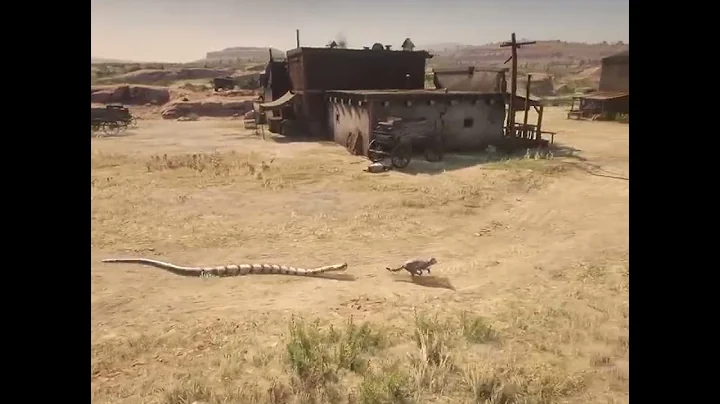 Cat Impossible escape from Snake