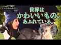旅サラダ_広瀬未花_癒しの動物たちと出会う旅!!
