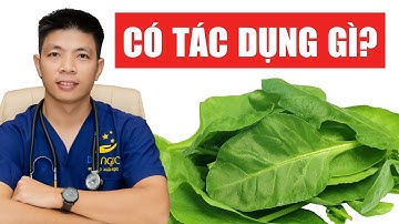Ăn rau mồng tơi có tác dụng gì - thực phẩm vàng cho sức khỏe | Dr Ngọc