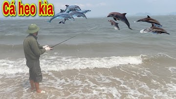 Trải Nghiệm Câu Cá Đục Tại Bãi Biển Vịnh Hạ Long _ Quảng Ninh