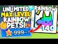 INFINITE RAINBOW PETS, MAX RANK AND MONEY IN PET SIMULATOR 2!!! Roblox