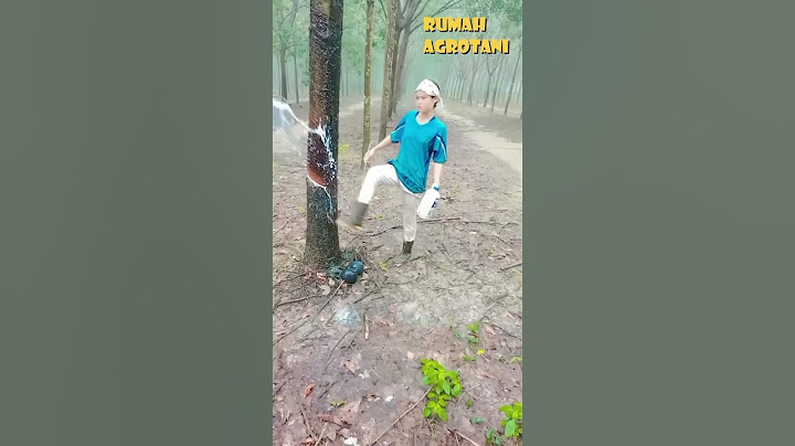 Thailand Rubber Plantation Innovation