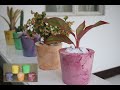 DIY PLASTER OF PARIS FLOWER POTS PART 2 #plasterpot #diyplasterpot #plasterofparis #pot