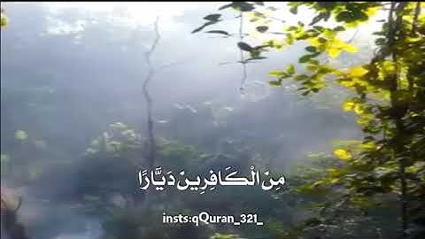 القارئ نايف بن خلف العيادة